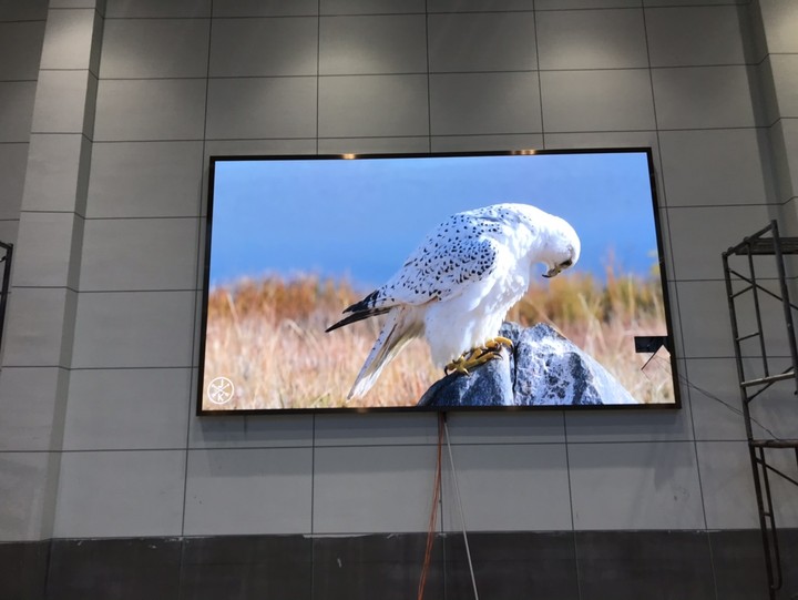 英山茶仙，P2.5,11.46平方