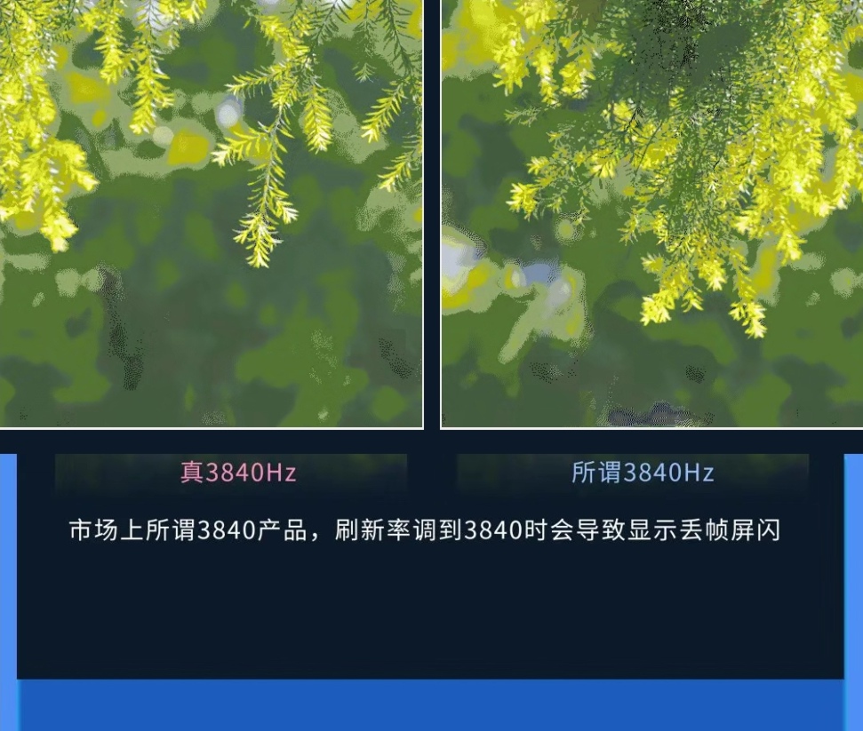 1653631886407554.jpg 5.jpg