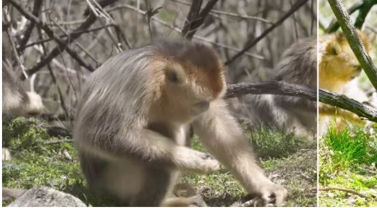 1671783348135760.jpg 7.jpg