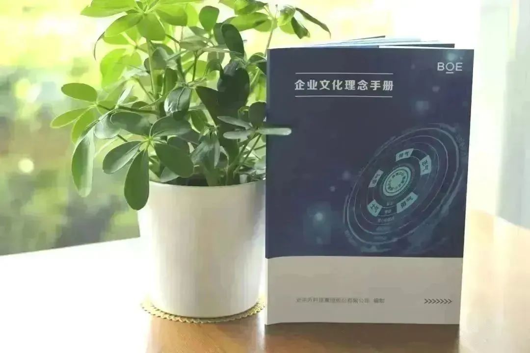 1681264976931508.jpg 10.jpg