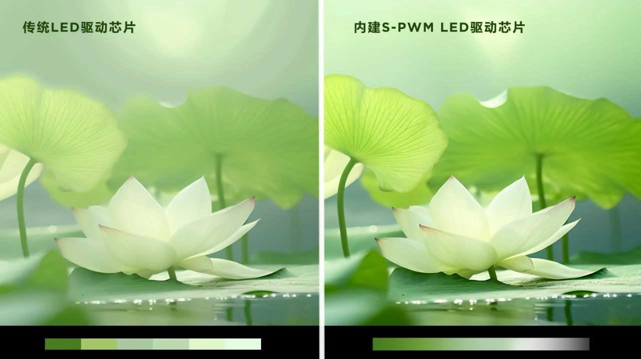 1692237438636138.jpg 21.jpg