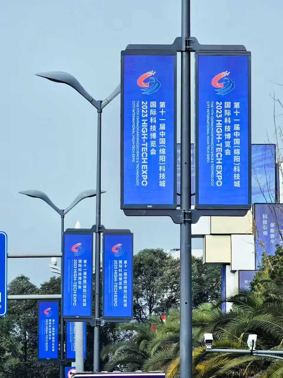 1700708923132877.jpg 1.jpg